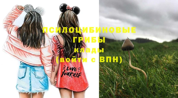 индика Абдулино