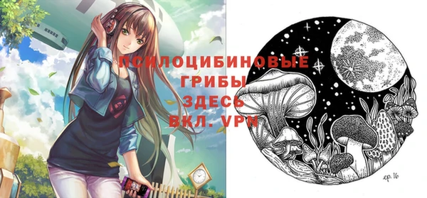 индика Абдулино