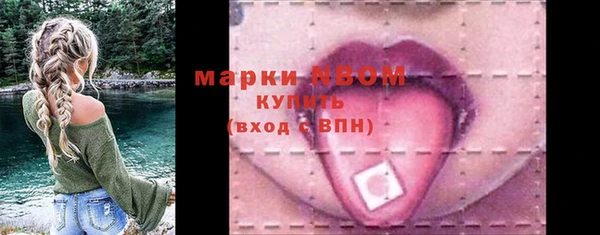 индика Абдулино